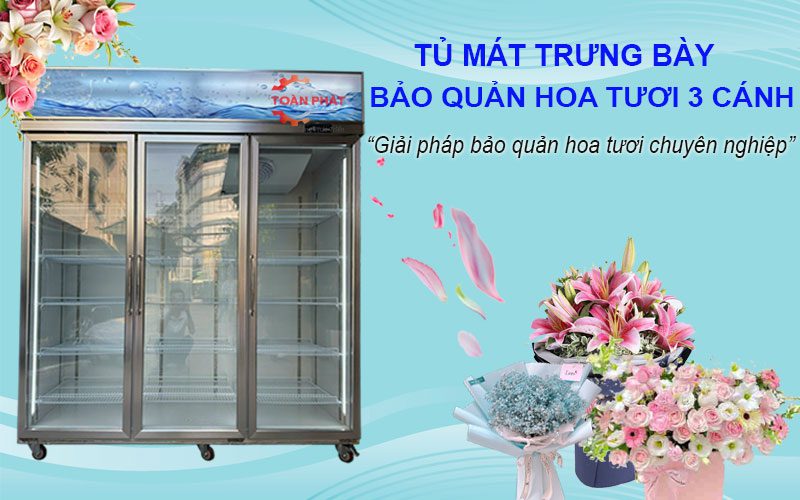 tủ mát trưng bày bảo quản