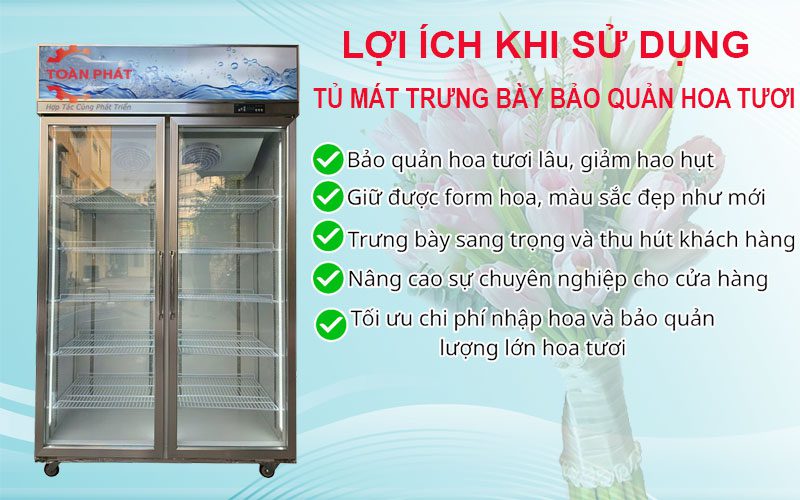 tủ mát trưng bày bảo quản hoa tươi