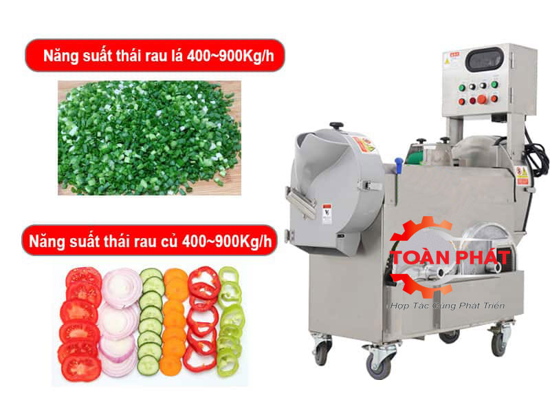 Máy thái rau củ quả công nghiệp Đài Loan SKMG-608