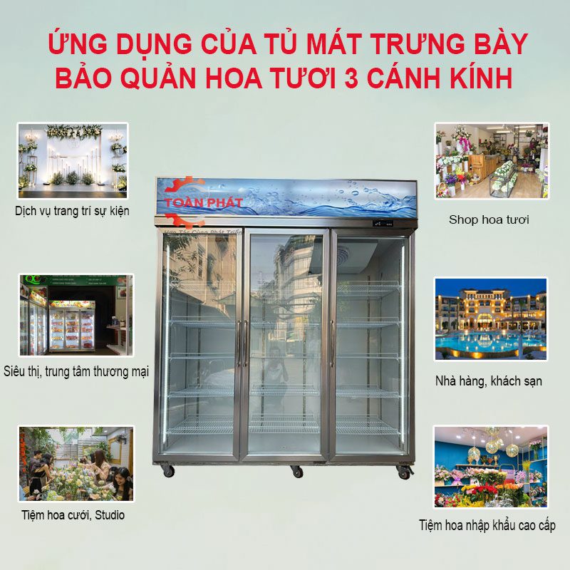 tủ mát trưng bày bảo quản