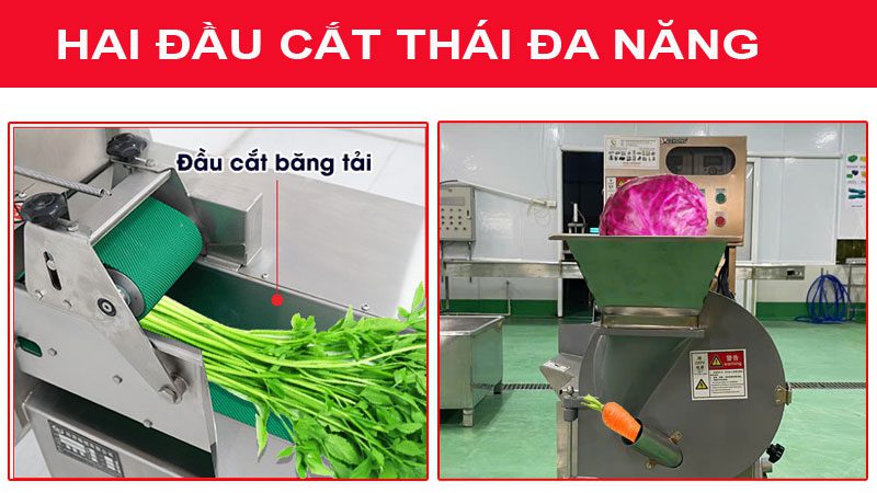 Máy thái rau củ quả HE1000