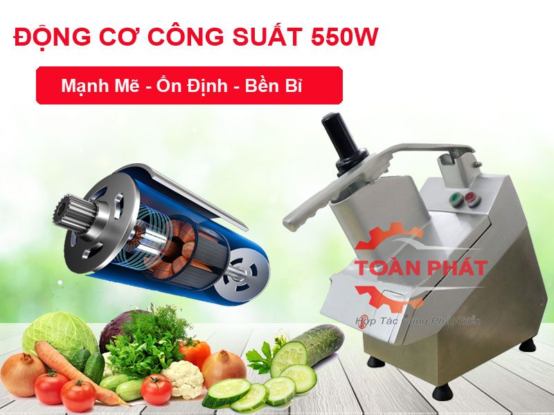 máy thái rau củ quả vc60-ms
