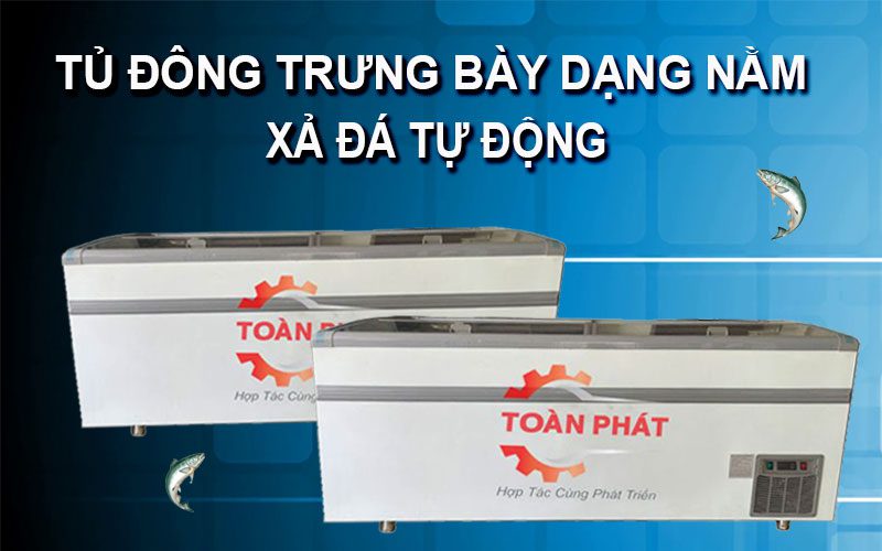 Tủ đông dạng nằm