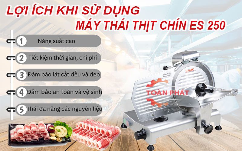 Máy thái thịt chín ES 250