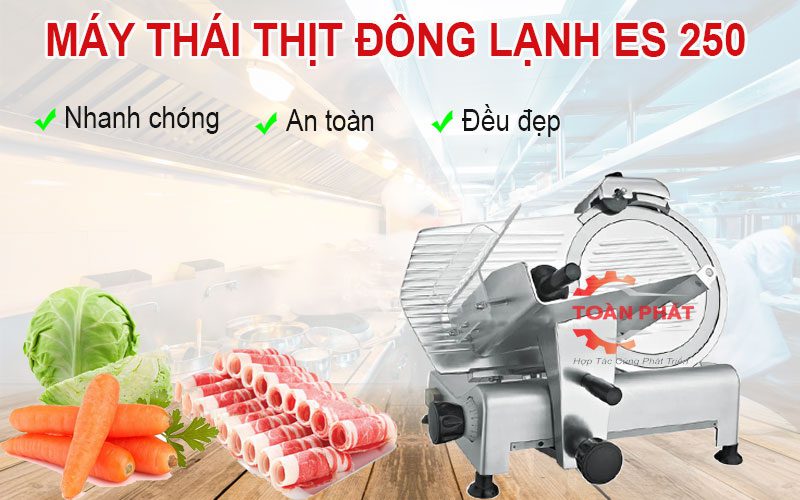 Máy thái thịt đông lạnh ES 250
