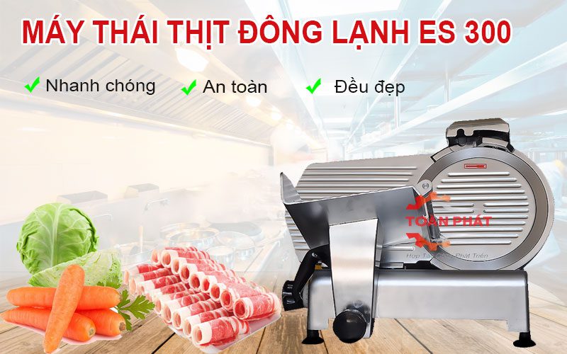 Máy thái thịt đông lạnh ES 300