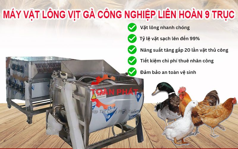 máy vặt lông vịt gà công nghiệp liên hoàn