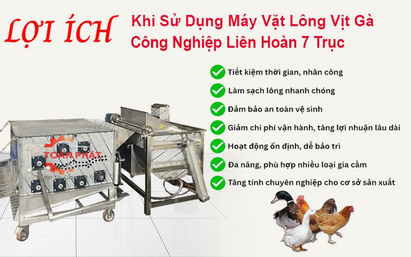 máy vặt lông vịt gà công nghiệp liên hoàn