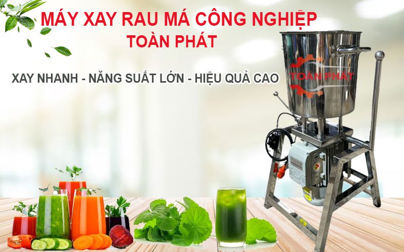 máy xay rau má