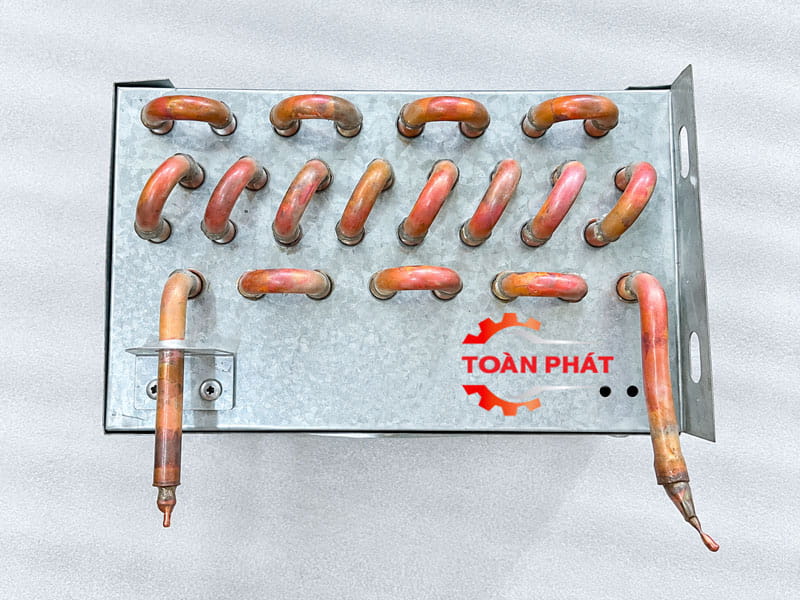 dan-nong-thu-banh-sinh-nhat-1,2m-toan-phat.3